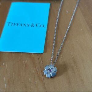 Tiffany & Co. LTD JP Crown of Heart Pink Sapphire Paloma Picasso Necklace